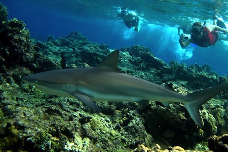 buceo de San Andres,