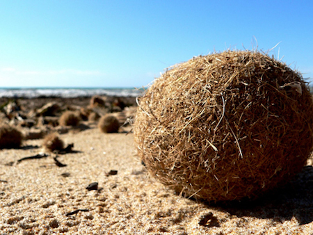  a contaminar el Mediterraneo