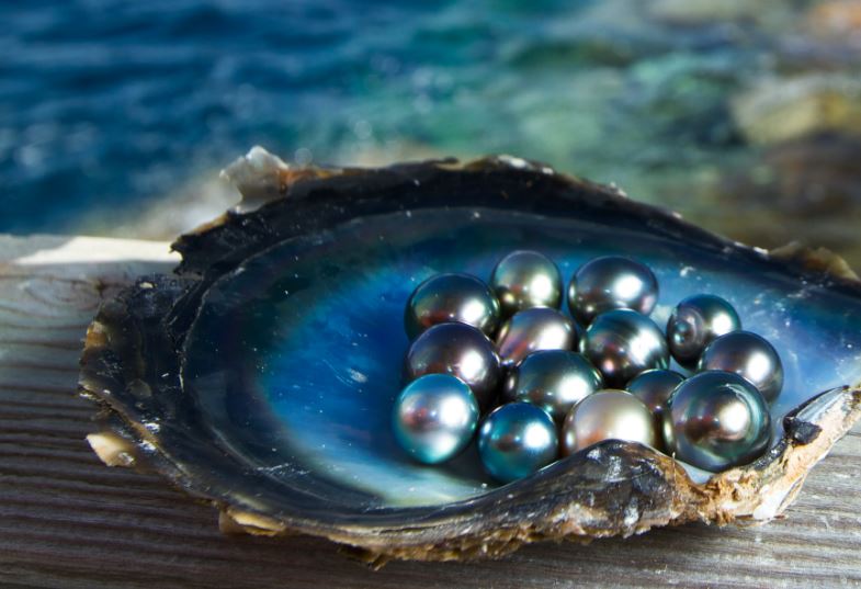 Cómo nacen las perlas naturales y cómo se obtienen las cultivadas